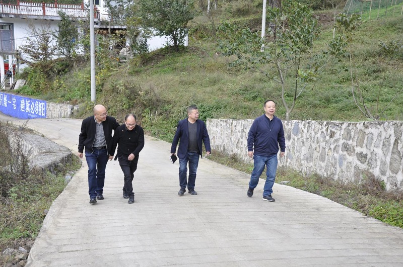 黨委副書(shū)記付善華帶隊(duì)到安樂(lè)溪鄉(xiāng)調(diào)研督戰(zhàn)脫貧攻堅(jiān)   